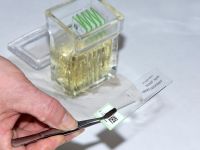 LDH11 Monitoring IV